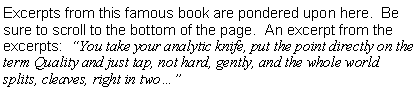 Text Box: Excerpts from this famous book are pondered upon here.  Be sure to scroll to the bottom of the page.  An excerpt from the excerpts:  “You take your analytic knife, put the point directly on the term Quality and just tap, not hard, gently, and the whole world splits, cleaves, right in two…”